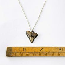 Load image into Gallery viewer, Fossil Shark Tooth Shadow Necklace